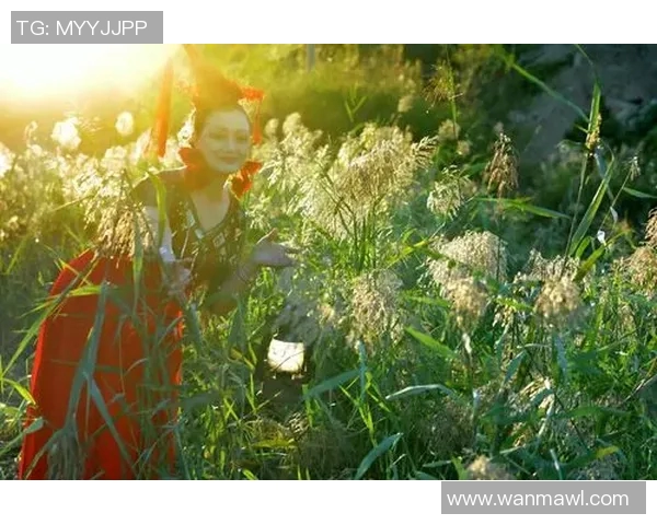 晚秋字谜与和值谜的奇妙结合探秘与解读之旅