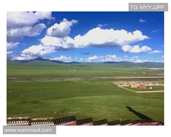 探索梅里达的魅力之旅：历史文化与自然风光的完美融合